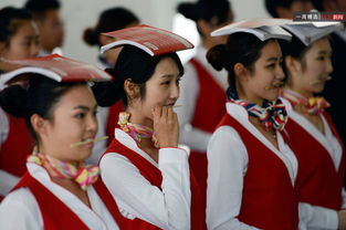 網易一周圖片精選 11.29-12.5 廣告設計的視覺盛宴與創意啟示